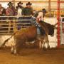 Scott Richardson Photo 18