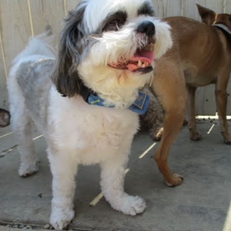 David Novak Photo 47