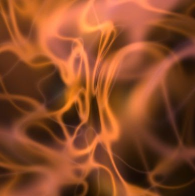 Colleen White Photo 6