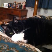 Carol Breland Photo 7