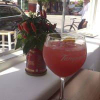 Julia Tinoco Photo 8