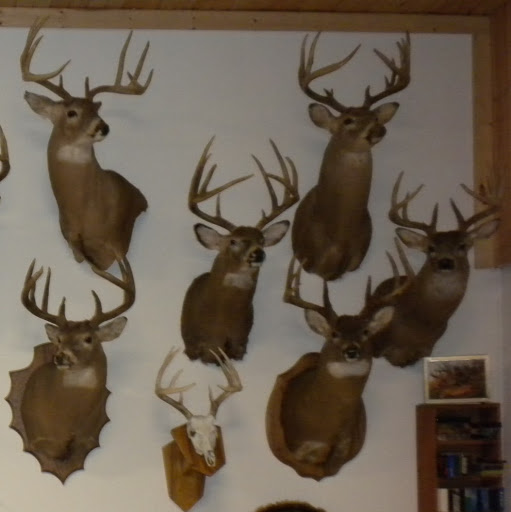 Drew Mathews Photo 8