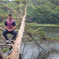 Randall Torres Photo 4