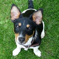 Bobbie Russell Photo 18