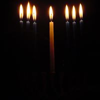 Alan Jacobson Photo 36