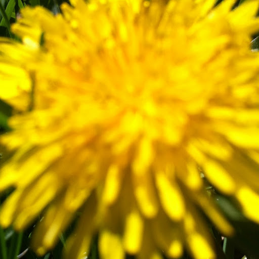 Elizabeth Katz Photo 31 Elizabeth Katz Photo 31