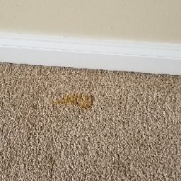 Stephen Hennessy Photo 34