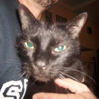 Rebecca Lavallee Photo 11