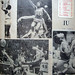 Thomas Tolbert Photo 32