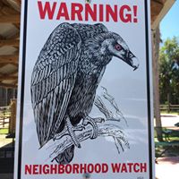 Danny Harrell Photo 23