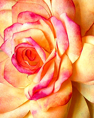 Teri Richardson Photo 26