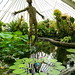 Deborah Walsh Photo 17