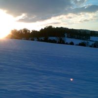 Anne Higginbotham Photo 12