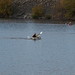 Kelly Mercer Photo 12