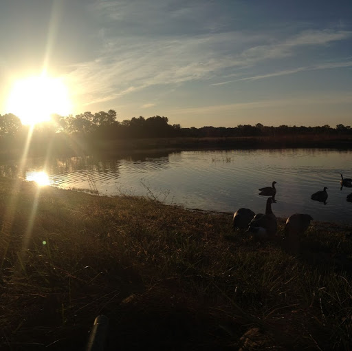 Sam Browning Photo 4