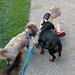 Timothy Link Photo 15