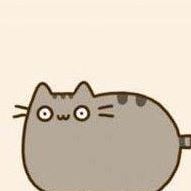 Ray Sheffer Photo 10