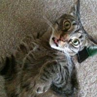 Melissa Keith Photo 11