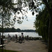 Shelley Parks Photo 25
