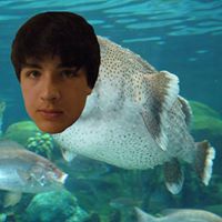 David Kerwin Photo 16