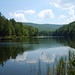 James Trout Photo 12