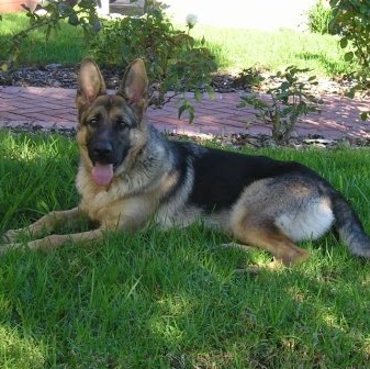 Larry Rice Photo 22 Larry Rice Photo 22