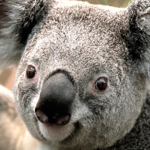 Phyllis Burch Photo 6