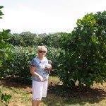 Rebecca Goltz Photo 3