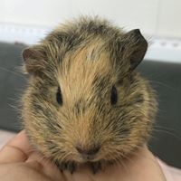 Tzuchun Chen Photo 4