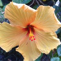 Deborah Bruno Photo 16