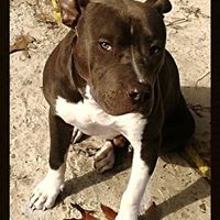 Kimberly Hinson Photo 6
