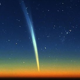 Eloise Davis Photo 15