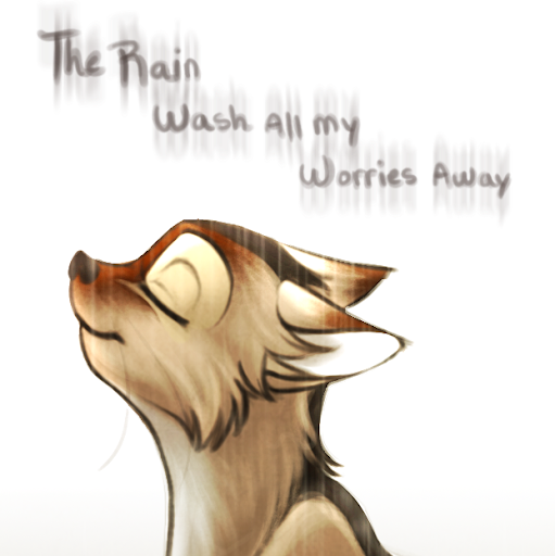 Christine Mulhern Photo 12