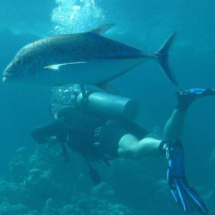 John Barton Photo 48 John Barton Photo 48