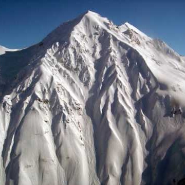 Vicki Gardner Photo 22 Vicki Gardner Photo 22