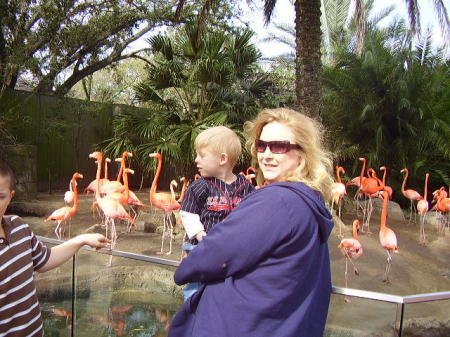 Staci Stephens Photo 2