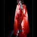 Christine Dunkel Photo 4