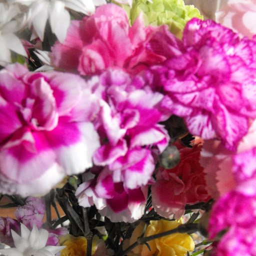 Julie Wheeler Photo 51 Julie Wheeler Photo 51