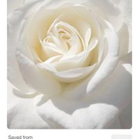 Jennifer Presley Photo 10