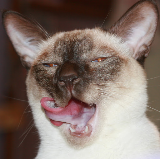 Julie Scoggins Photo 4