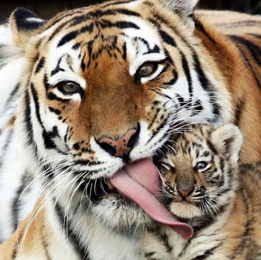 Cindy Rosenthal Photo 24 Cindy Rosenthal Photo 24