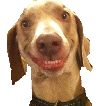 Lewis Martin Photo 55 Lewis Martin Photo 55