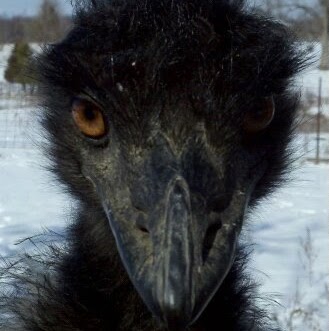 Lawrence Robbins Photo 12 Lawrence Robbins Photo 12