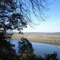 Vicki Childers Photo 23