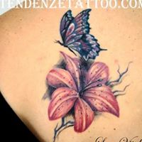 Mary Anders Photo 2 Mary Anders Photo 2