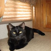 Mary Hershberger Photo 17