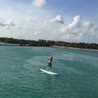 Ian Cohen Photo 56 Ian Cohen Photo 56