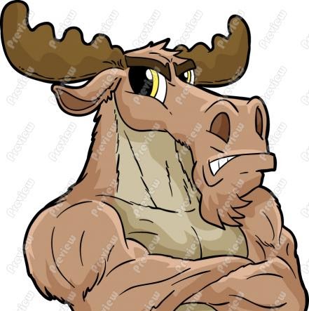 Joshua Vaughn Photo 8