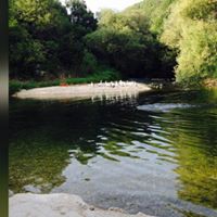 Nancy Keiser Photo 17