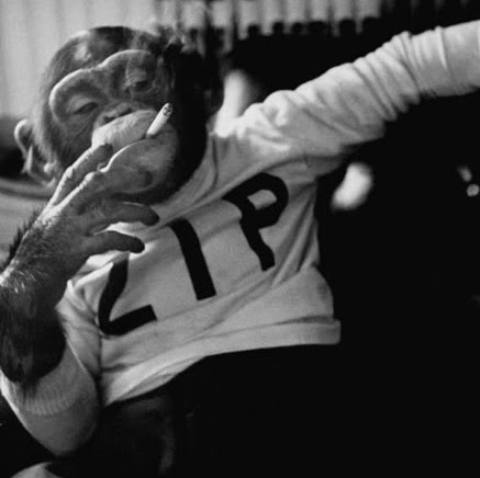 Stephen Wren Photo 12